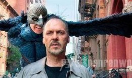 电影鸟人在线观看,飞翔的视觉盛宴，在线观影指南